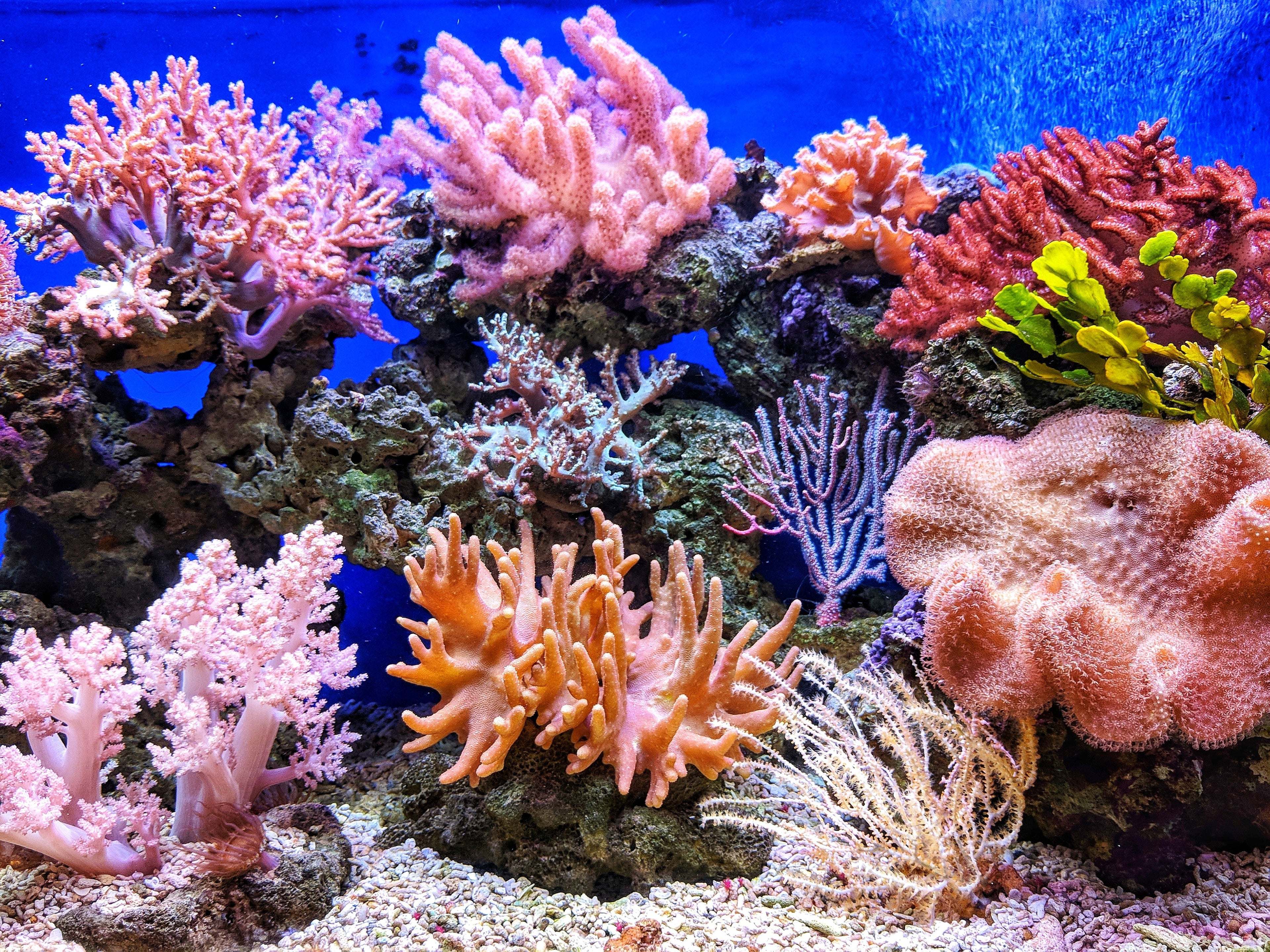 There is no such thing as reef friendly